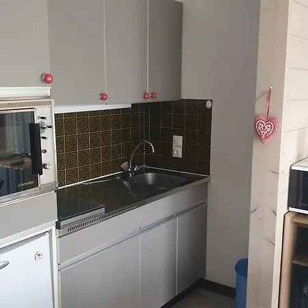 Les Carroz D'arâches, 1 Pièce, 4 Personnes - Fr-1-572-218 Appartement Arâches