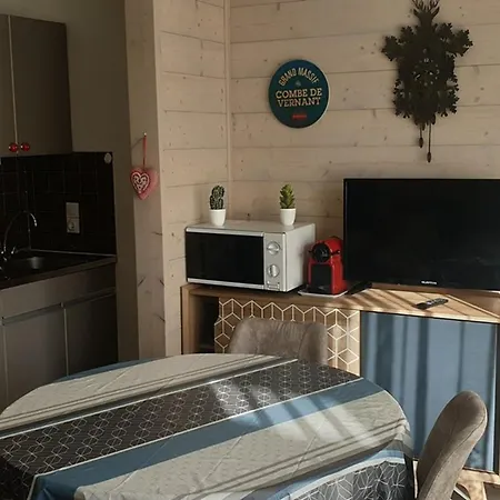 Appartement Les Carroz D'arâches, 1 Pièce, 4 Personnes - Fr-1-572-218 *